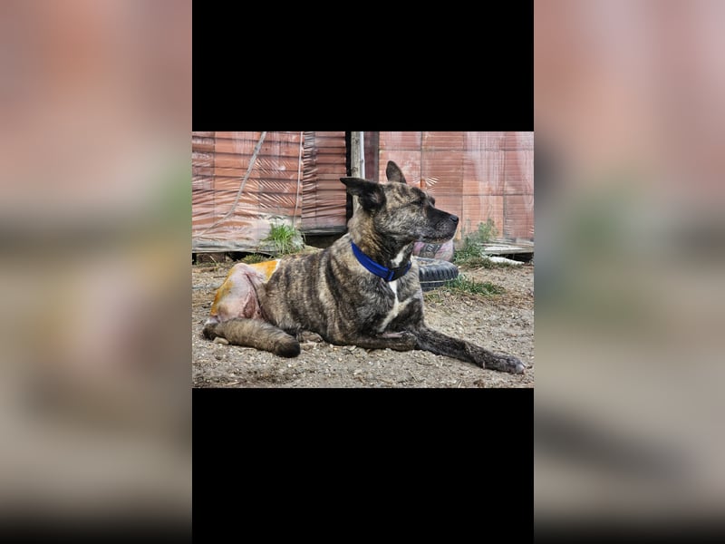 Maya trotz Handicap voller Lebensfreude