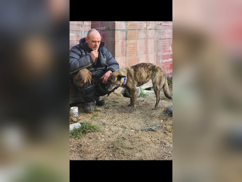 Maya trotz Handicap voller Lebensfreude