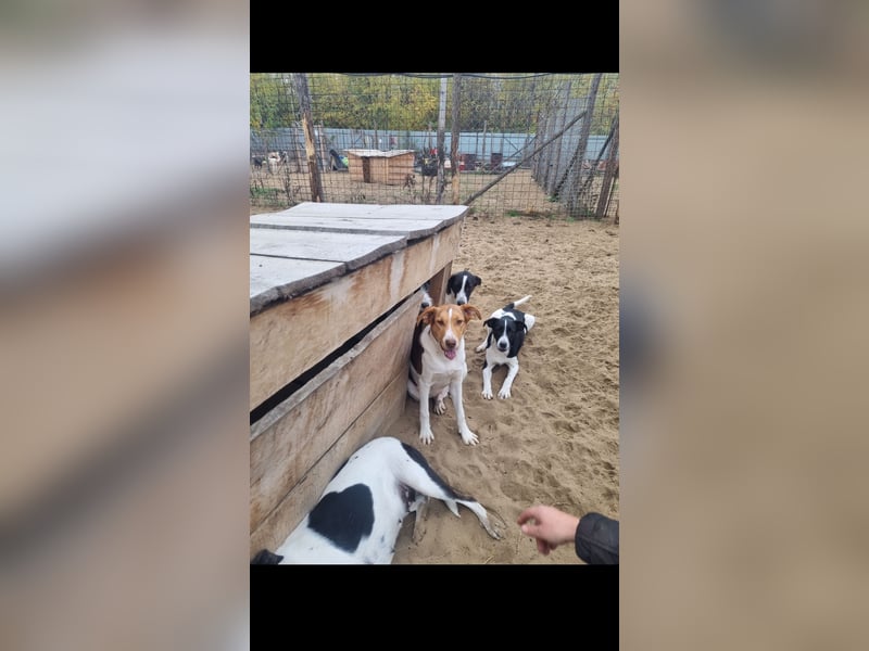 Dr. Bob sucht sein wohlfühlplätzchen