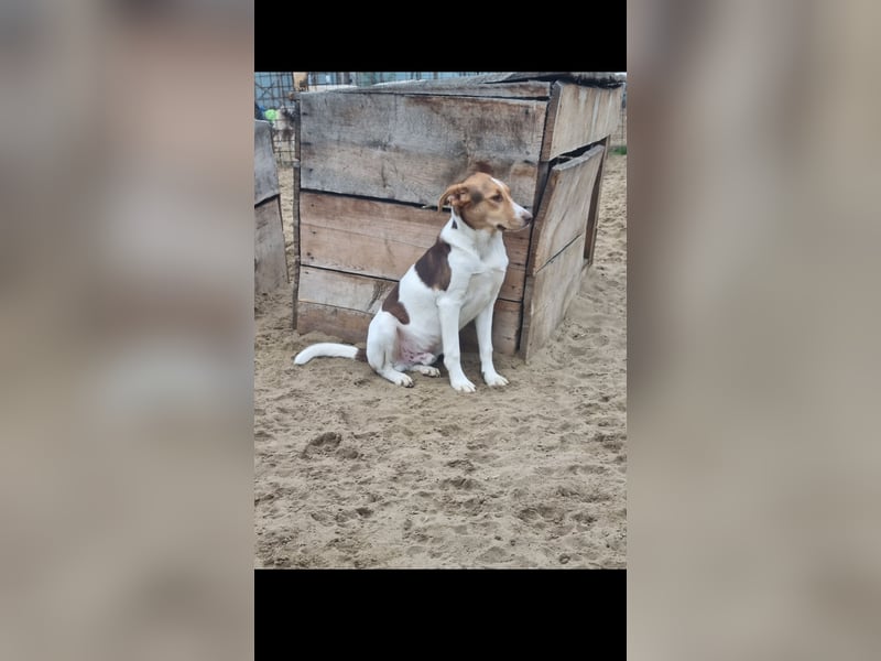 Dr. Bob sucht sein wohlfühlplätzchen