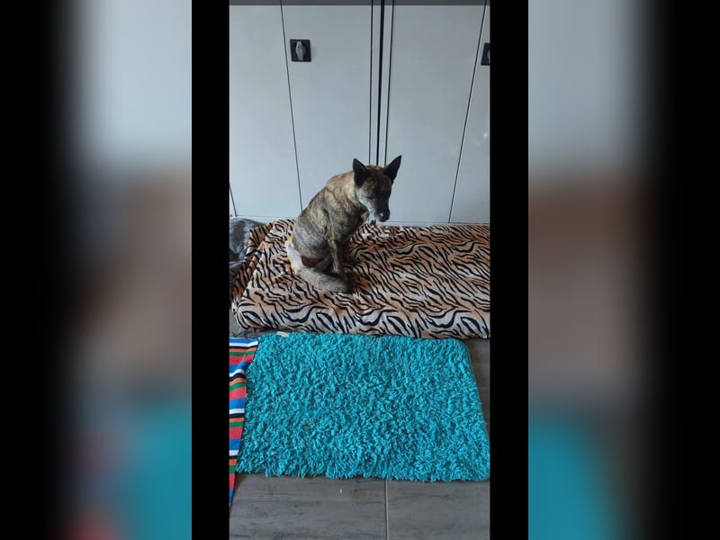 Maya trotz Handicap voller Lebensfreude