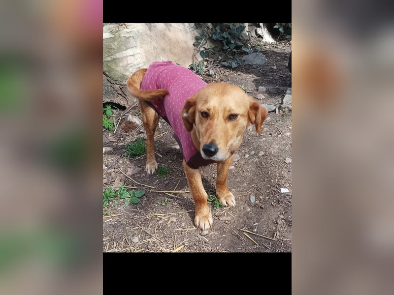 Barka sucht  ihre traumfamilie