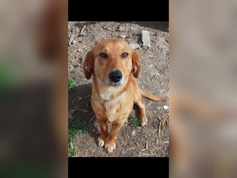 Barka sucht  ihre traumfamilie