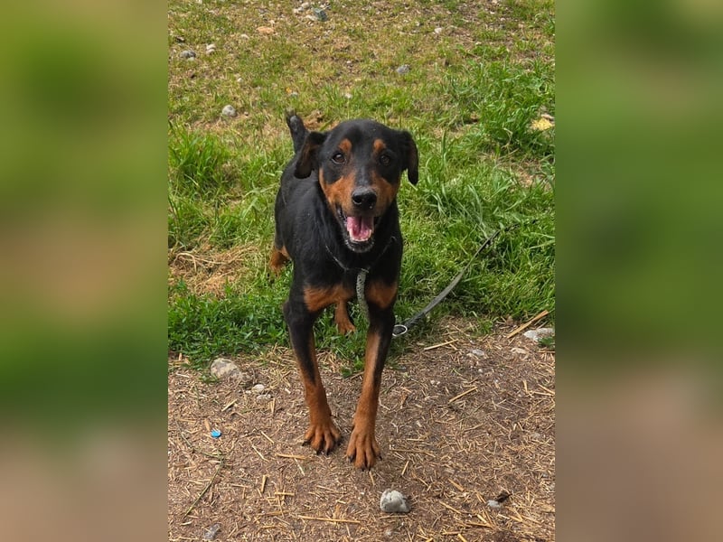 Rico-Kämpfer mit Herz