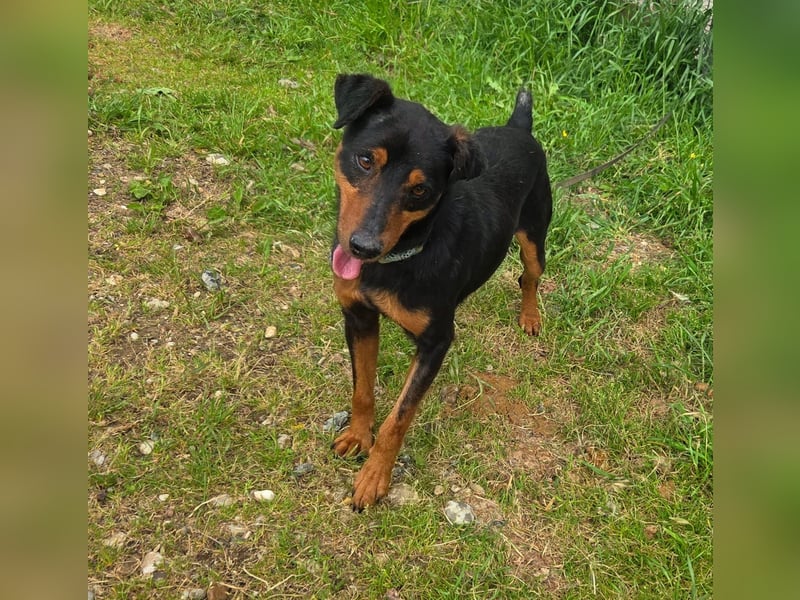 Rico-Kämpfer mit Herz