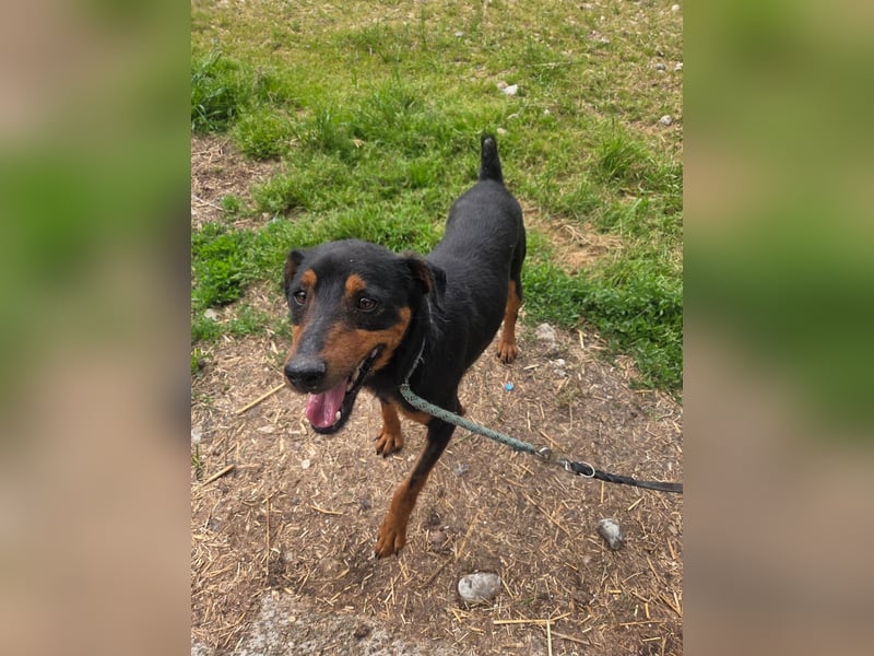 Rico-Kämpfer mit Herz