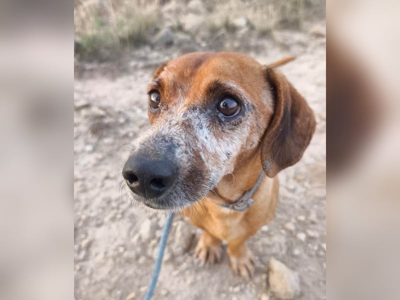 ❤️ NEO❤️ ❤️ NEO❤️