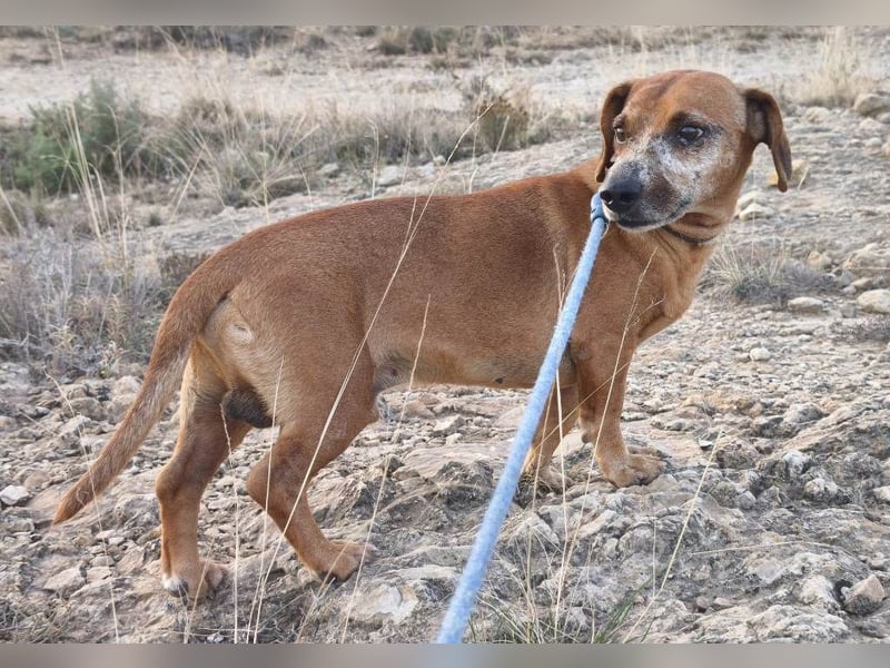 ❤️ NEO❤️ ❤️ NEO❤️