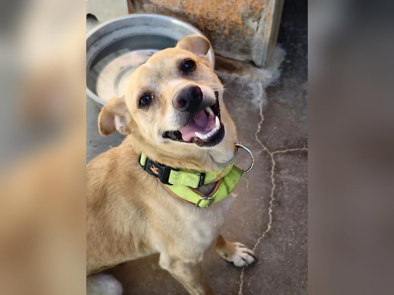 ❤️ ZAFIRO ❤️