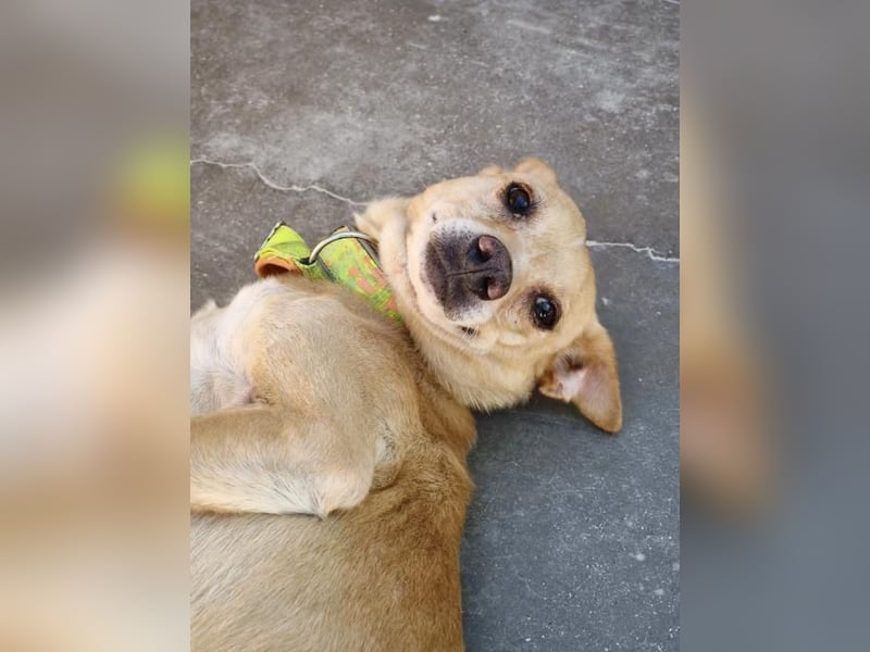 ❤️ ZAFIRO ❤️