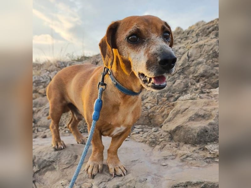 ❤️ NEO❤️ ❤️ NEO❤️