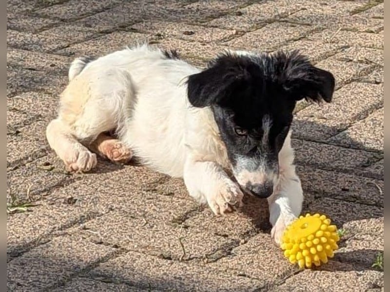 Lui wartet in 97499 Traustadt