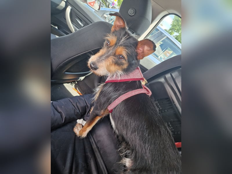 Fillip sucht ein zu Hause auf dem Land