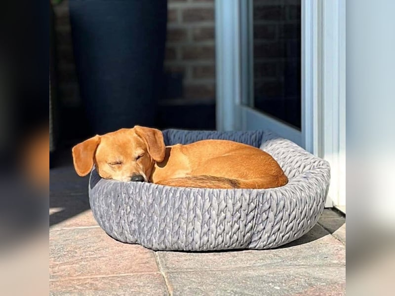 Luna - ist ein kluger Sturkopf