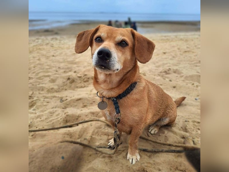 Luna - ist ein kluger Sturkopf