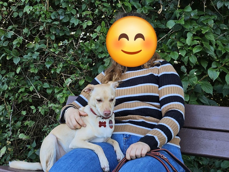 Seelenhund (4 J.) sucht ruhigen Platz mit Garten bei Einzelperson