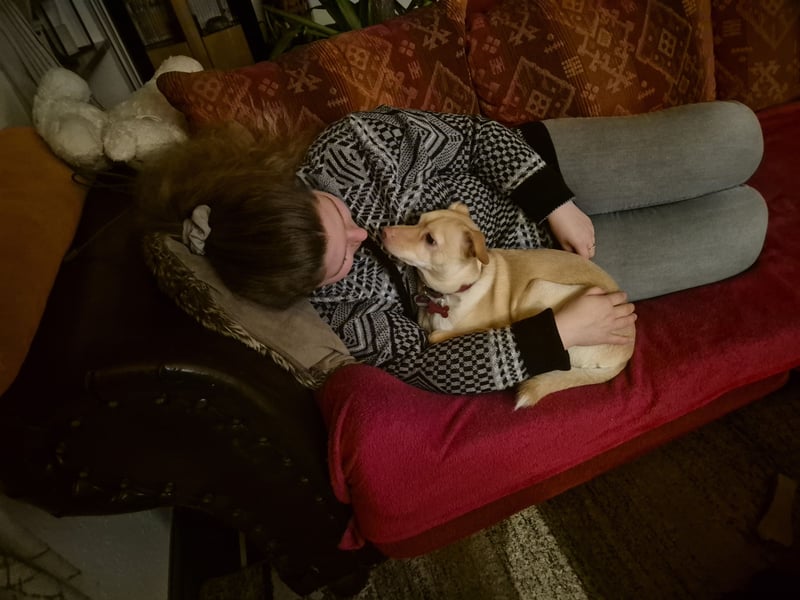 Seelenhund (4 J.) sucht ruhigen Platz mit Garten bei Einzelperson