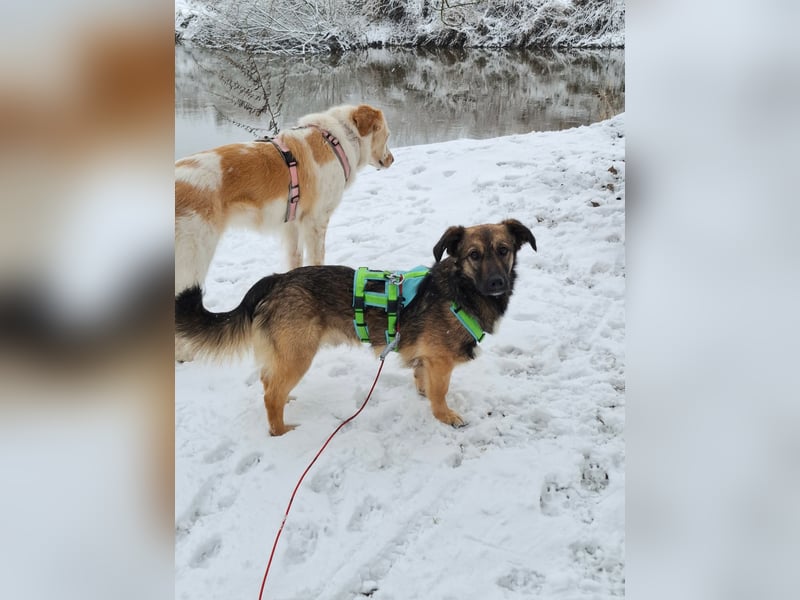 Pino - ist bereit die Welt zu entdecken