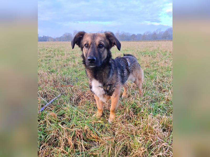 Pino - ist bereit die Welt zu entdecken