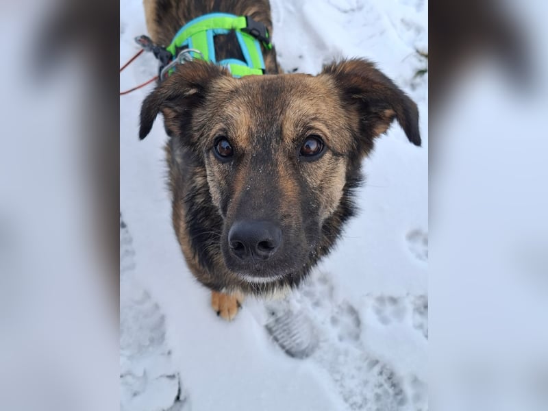 Pino - ist bereit die Welt zu entdecken