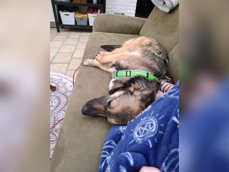 Pino - ist bereit die Welt zu entdecken