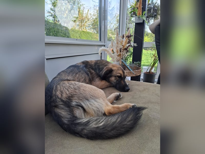 Pino - ist bereit die Welt zu entdecken