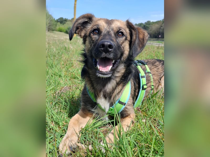 Pino - ist bereit die Welt zu entdecken