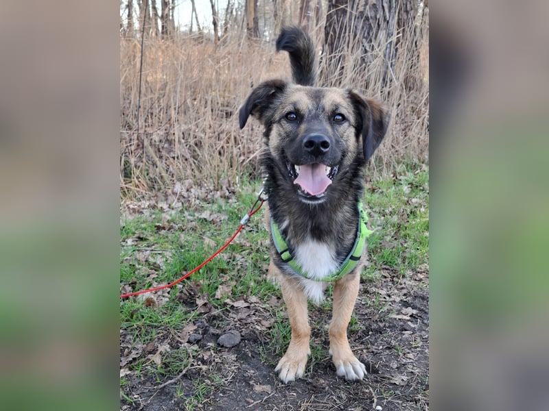 Pino - ist bereit die Welt zu entdecken