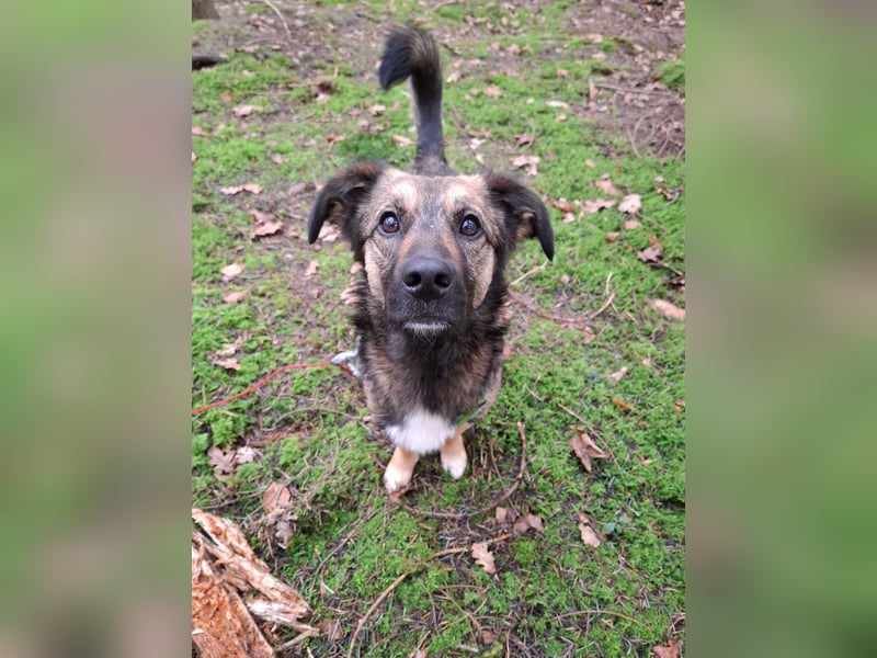 Pino - ist bereit die Welt zu entdecken