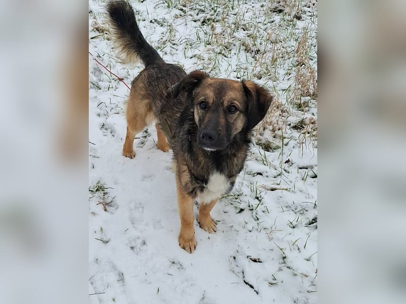 Pino - ist bereit die Welt zu entdecken