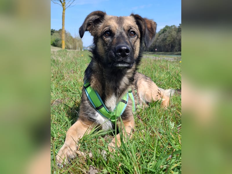 Pino - ist bereit die Welt zu entdecken