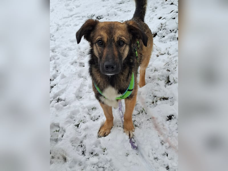 Pino - ist bereit die Welt zu entdecken