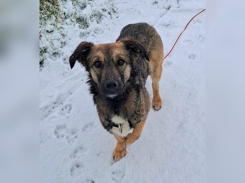 Pino - ist bereit die Welt zu entdecken