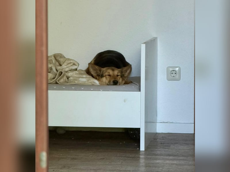 Inge - hat viel Chaos im Kopf