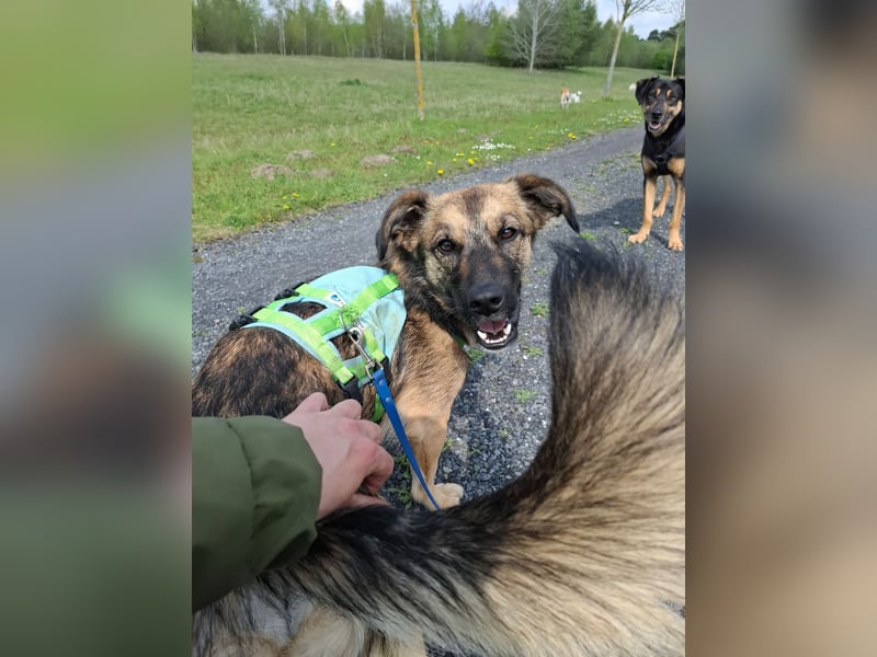 Pino - ist bereit die Welt zu entdecken