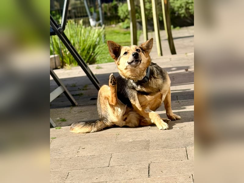 Inge - hat viel Chaos im Kopf