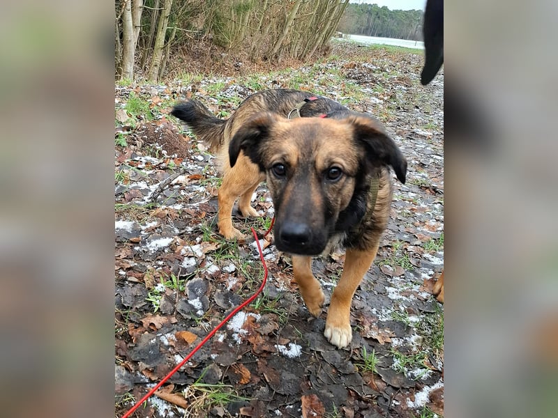 Pino - ist bereit die Welt zu entdecken