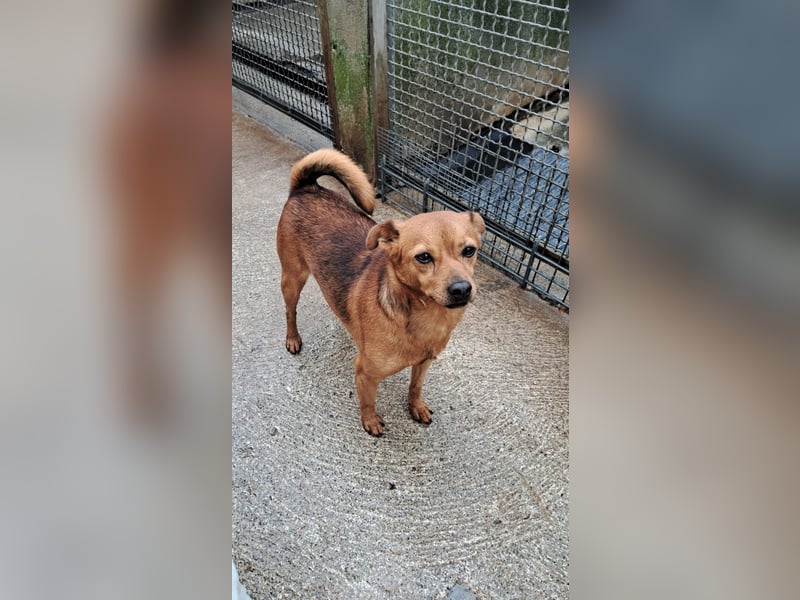 Olmino sucht sein Glück Olmino sucht sein Glück