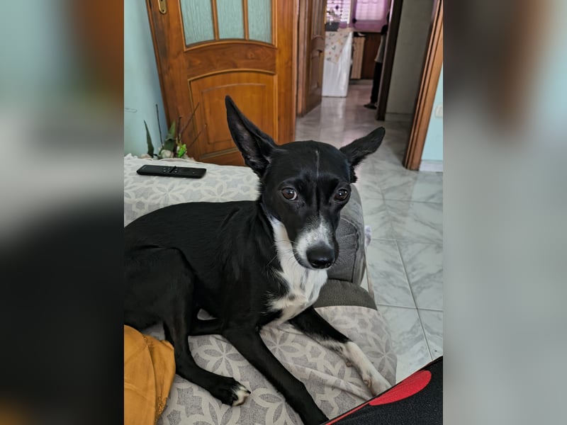 Margot möchte ankommen