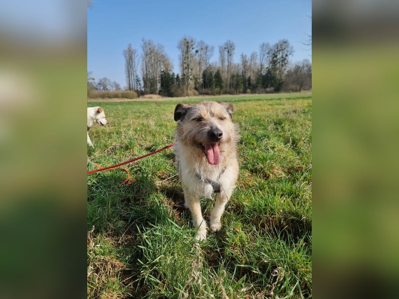 Bruno sucht seine Menschen