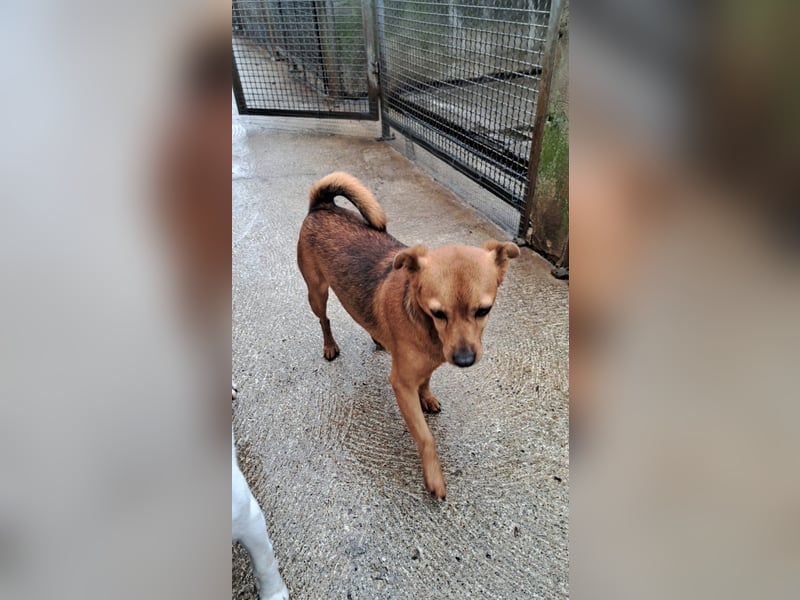 Olmino sucht sein Glück Olmino sucht sein Glück