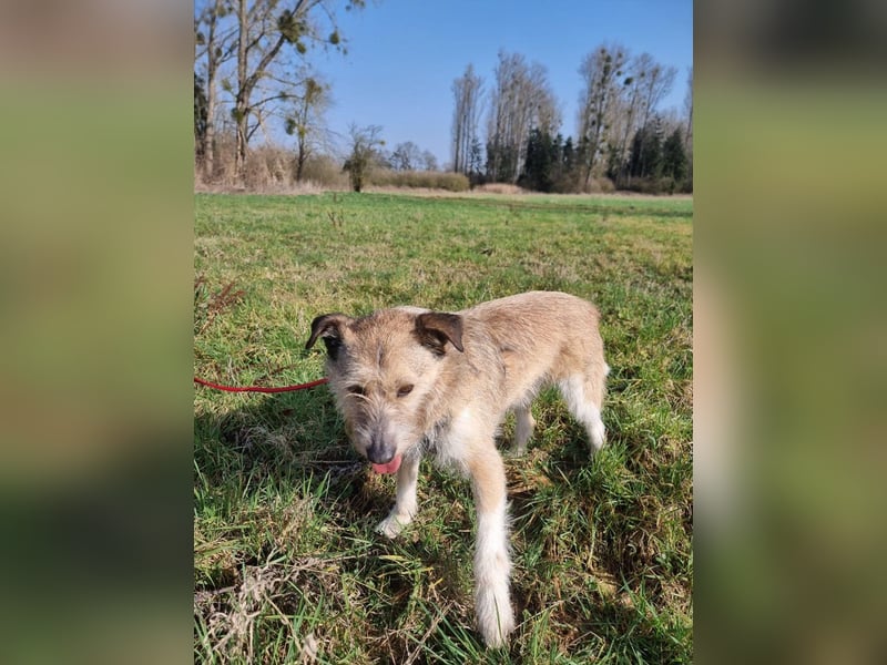 Bruno sucht seine Menschen
