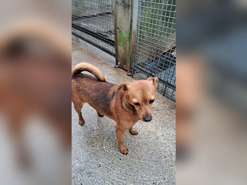 Olmino sucht sein Glück Olmino sucht sein Glück