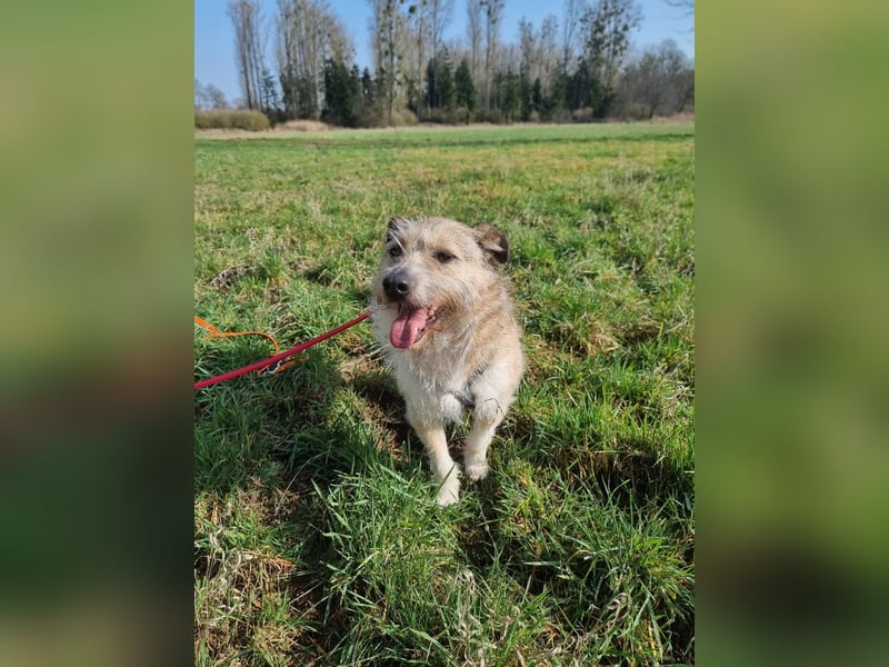 Bruno sucht seine Menschen