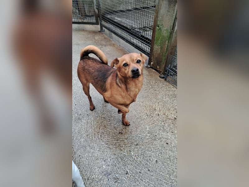 Olmino sucht sein Glück Olmino sucht sein Glück