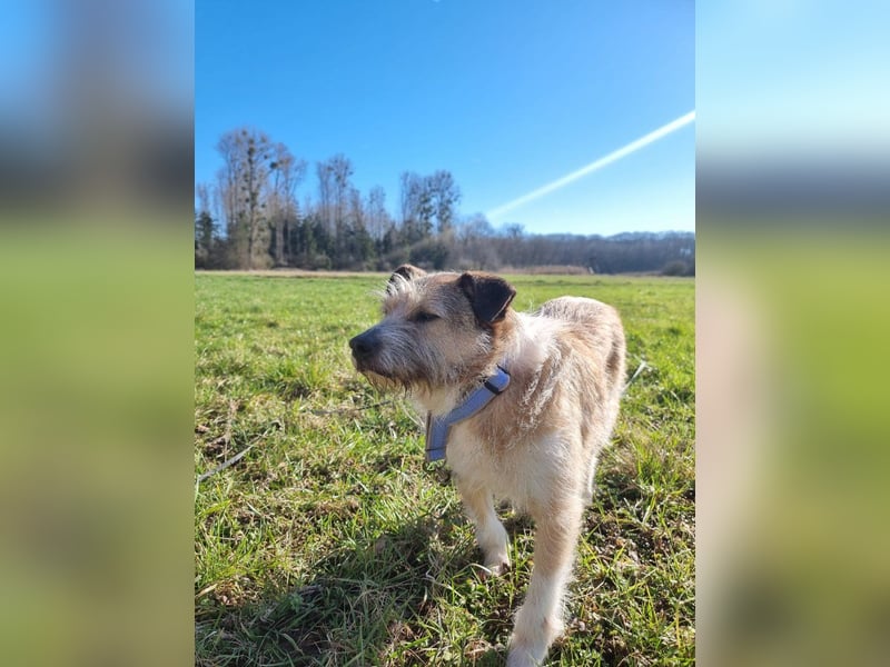 Bruno sucht seine Menschen