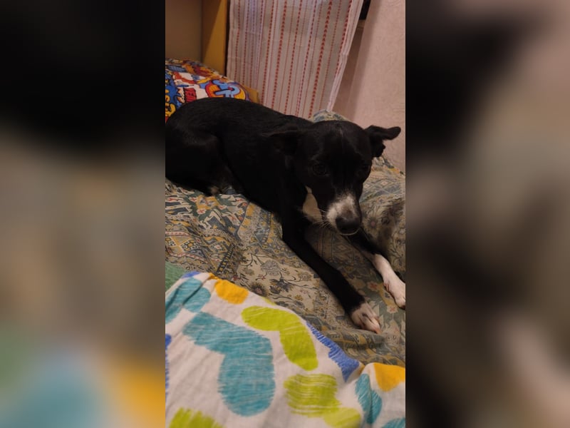 Margot möchte ankommen