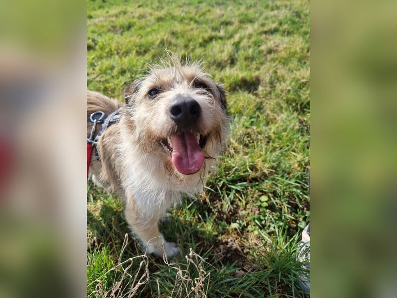 Bruno sucht seine Menschen