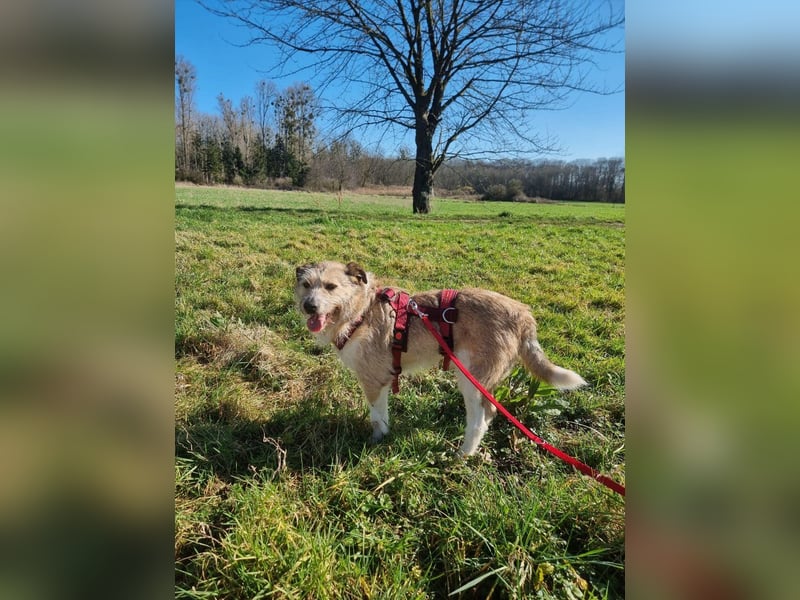 Bruno sucht seine Menschen