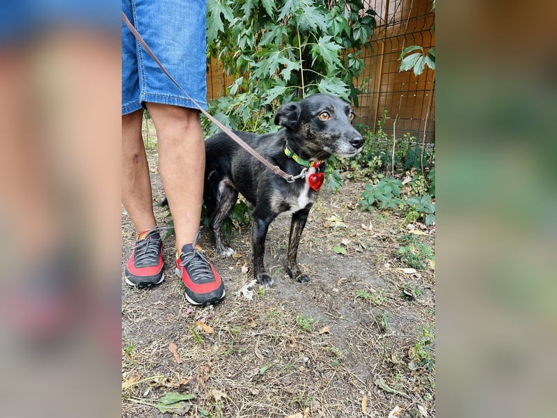 TRINITY SUCHT EIN LIEBEVOLLES ZUHAUSE